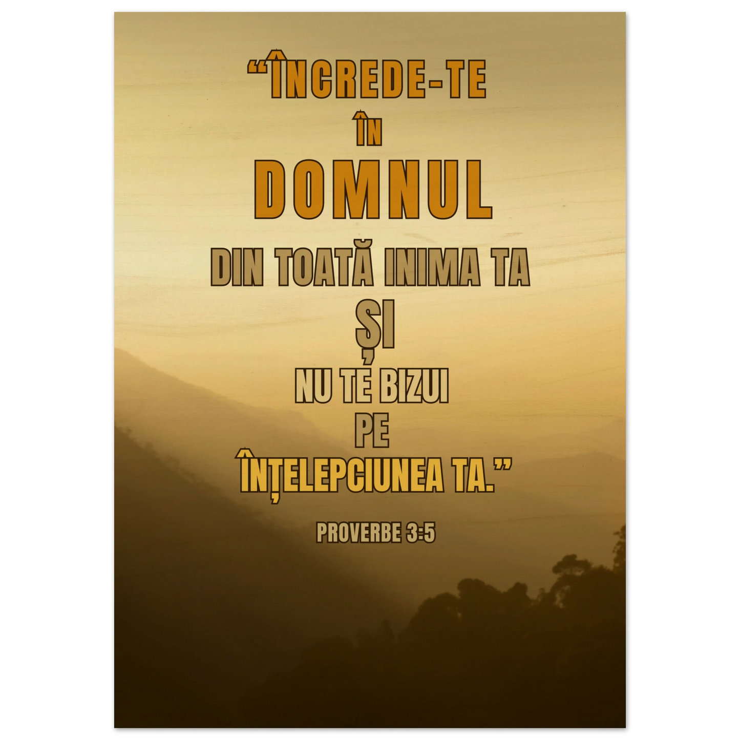 15ad49e6-6907-4227-80e6-c8ab06d11fb0