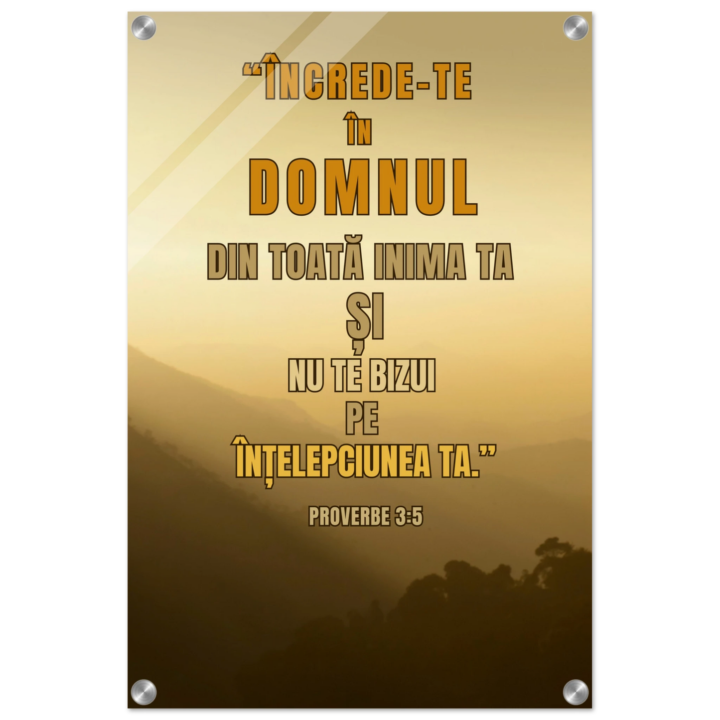 5d71b570-9c06-4dad-8be1-cfcb62ddb7ee