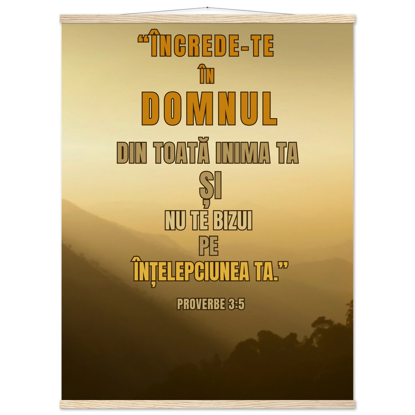 8ed1b1d6-c35b-4447-bd4f-537566b6cd51