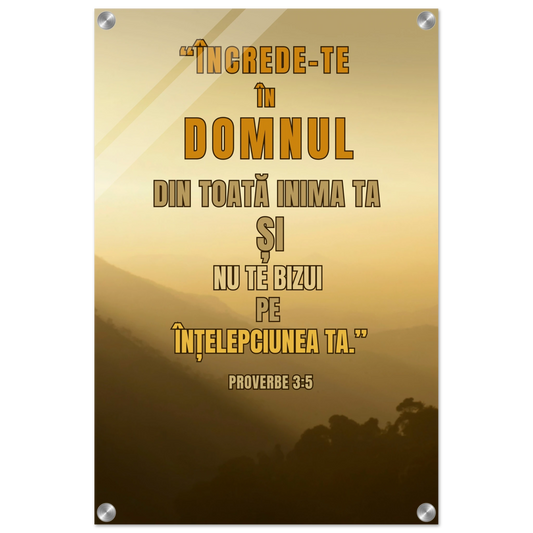 5d71b570-9c06-4dad-8be1-cfcb62ddb7ee